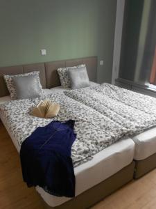 维也纳奥特丹旅馆的一张带两个枕头的床和一本书