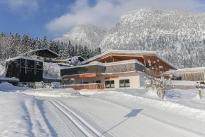 罗孚尔Alte Zimmerei - Lofer的一座山地雪地建筑