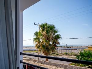 阿里卡塔瓜酒店及Spa的从门廊上看海滩上的棕榈树