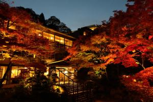 神户雷亚罗浮卡库酒店的前面有棵树的建筑