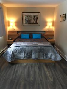 韦克菲尔德Auberge De Mon Petit Chum B&B的一间卧室配有一张带蓝色枕头的大床