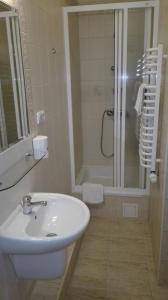 克雷尼察Boży Dar的白色的浴室设有水槽和淋浴。