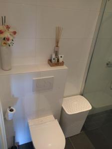 CothenBoerengastenverblijf De Kromme Rijn的白色的浴室设有卫生间和淋浴。