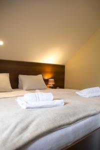 鲁哈科维斯大字旅馆的客房内的两张床和白色毛巾