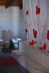 乌斯帕亚塔Samadi Hostel Uspallata的浴室设有卫生间和鲜花淋浴帘