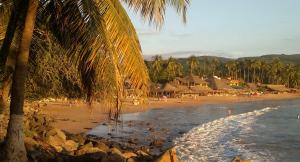 恰卡拉Hotel Quinta Mar y Selva的一片棕榈树海滩,一群人