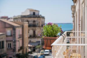 锡拉库扎Gran Bretagna Boutique Hotel Ortigia的坐在阳台的顶端的盆栽植物