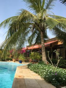 萨利波图尔Le Dakan的棕榈树,在一座带游泳池的房子前