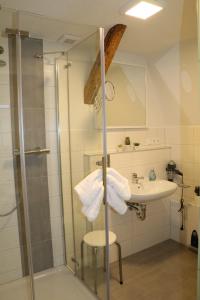 巴特埃尔斯特Fewo Friedrichsruh的带淋浴和盥洗盆的浴室
