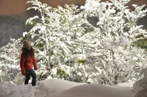 乌斯怀亚Cabañas Las Aguilas ADHERIDA PREVIAJE的一位妇女走过一堆积雪