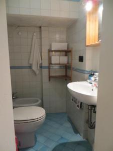 比萨卡萨加布里埃拉公寓的一间带卫生间和水槽的浴室