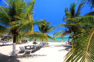 塞古罗港Coroa Vermelha Beach - All Inclusive的海滩上,有椅子和棕榈树,还有大海