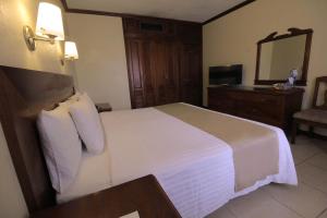 坦皮科圣安东尼奥酒店的配有一张大床和镜子的酒店客房