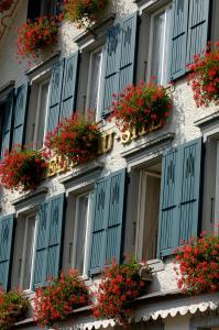 因特拉肯美地经济酒店的一座建筑,拥有蓝色的窗户,花卉和植物