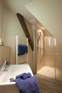 Passade菲斯尔维吉埃姆帕萨德尔斯酒店的带淋浴、盥洗盆和淋浴的浴室