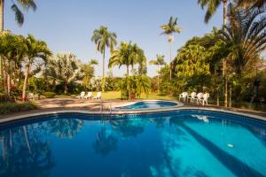 Fortín de las FloresHotel Posada Loma的一个带椅子的游泳池,棕榈树