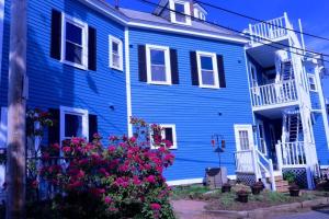塞伦踏脚石旅馆的前面有鲜花的蓝色房子