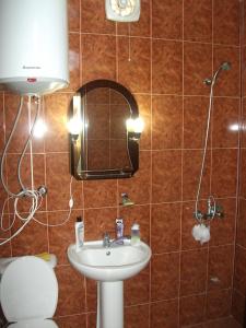 高尼奥Guesthouse Green Oasis的一间带水槽、镜子和卫生间的浴室