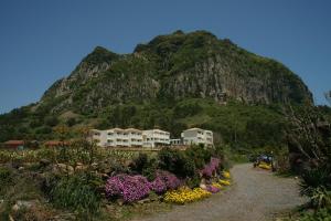 西归浦市济州海洋山庄度假屋的沙石路上的山,有房子和花