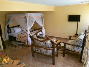 内罗毕Karen Little Paradise的一间卧室配有一张床铺和椅子以及一台电视。