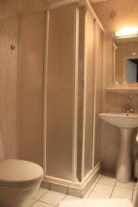 卢尔德阿卡普尔科酒店的带淋浴、卫生间和盥洗盆的浴室