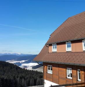 蒂蒂湖-新城Pension Forsthaus Täle的享有山谷景致的棕色屋顶房屋
