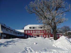 萨尔费尔德祖姆罗腾赫希瓦尔德酒店的雪中有一棵树的红色建筑