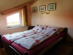 什切尔克Willa pod piórem的一间卧室配有一张带花卉棉被的床和窗户。