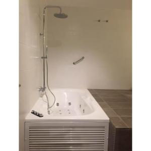 圣博伊德约布雷格巴尔迪利公寓酒店的浴室设有浴缸和淋浴。