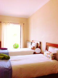 佩尼契FreeSurfCamp & Hostel的一间卧室设有两张床和窗户。