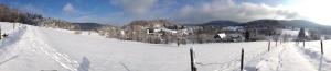 Grasellenbach赛弗里德布鲁门环形酒店的山地雪覆盖,有一座城镇