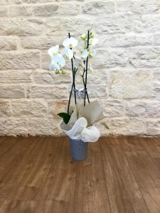 焦维纳佐圣阿戈斯蒂诺住宿加早餐旅馆的铺有木地板的花瓶,上面布满了白色的花朵