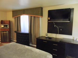 伦敦美国广场汽车旅馆的配有一张床和一台平面电视的酒店客房