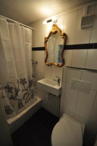 格尔兹维尔西加里河滨公寓的一间带卫生间、水槽和镜子的浴室