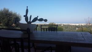 法萨诺Appartamento Giardinelli - Vale的上面有盆栽的桌子
