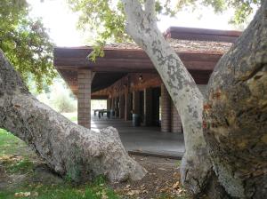 Paicines圣贝尼托露营11号度假屋 的前面有棵树的建筑