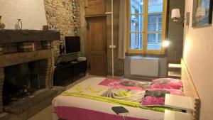 里昂魅力舒适科德利埃一室公寓的一间卧室配有一张床和一个壁炉