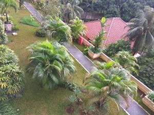 德波DSR马尔贡达2号公寓的棕榈树房屋的空中景致