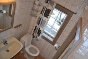 奥普达尔Vekve Hyttetun的一间带卫生间、水槽和窗户的浴室