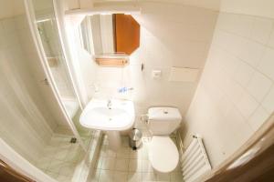 弗塞廷Hotel Vsacan的一间带卫生间和水槽的小浴室
