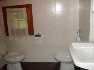 贝拉吉奥阿尔贝格拉格尼兹安内拉酒店的一间带卫生间和水槽的浴室