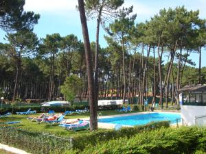 维亚纳堡Parque de Campismo Orbitur Viana do Castelo的一个带躺椅和树木的游泳池