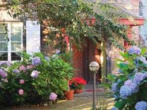 科伯恩-贡多夫马林霍夫膳食公寓的一座花园,在房子前种有鲜花