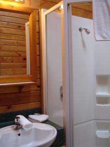 圣阿诺Alpine Lodge的浴室配有白色水槽和淋浴。