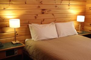 圣阿诺Alpine Lodge的一间卧室配有一张带两张台灯的床铺。