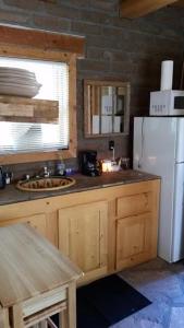 洛斯阿拉莫斯Pueblo Canyon Inn的厨房配有白色冰箱和水槽
