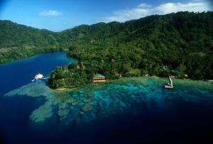 阿洛陶Tawali Leisure & Dive Resort的水体中间的一个岛屿