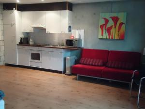 Faoug福奥格住宿加早餐旅馆的一间带红色沙发的客厅和一间厨房