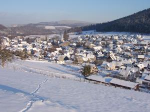 奥尔斯贝格Haus Cristallo的雪中村庄的空中景观