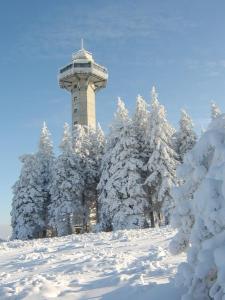 奥尔斯贝格Haus Cristallo的一座有树木的雪覆盖的山顶上的塔楼